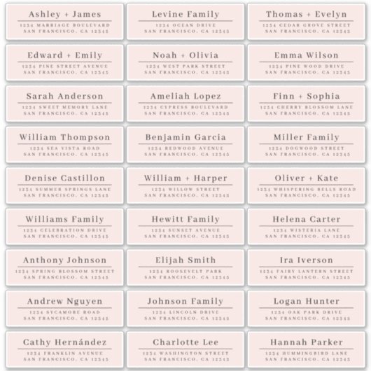 Chic Minimal Pink Wedding Guest Address Labels (Vorderseite)