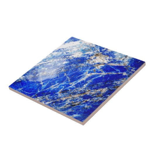 Chic Modern Blue Marble Stone Fliese (Seite)