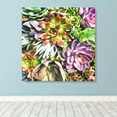 Chic Modern Colorful Sukkulous Foto Muster Leinwanddruck (Insitu (Holzboden))