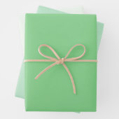 Chic Modern Light Green Simple Solid Shades Geschenkpapier Set (Beispiel)