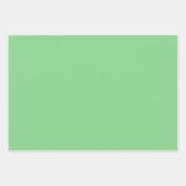 Chic Modern Light Green Simple Solid Shades Geschenkpapier Set (Vorderseite)
