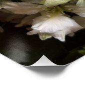 Chic Moody Botanicals Poster (Ecke)