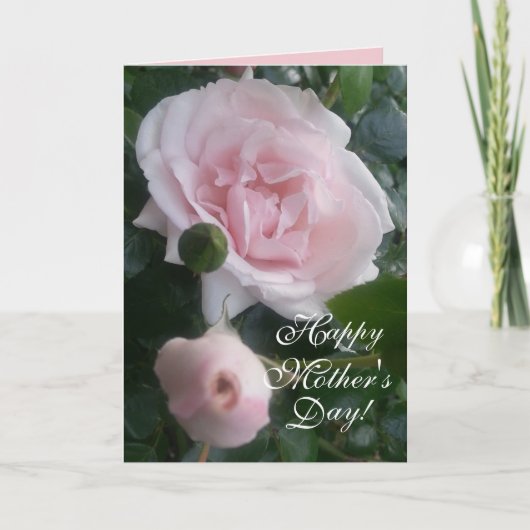 CHIC MUTTER'S DAY CARD_ NEUE DAWN ROSE KARTE (Vorderseite)