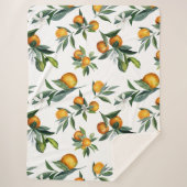 Chic Orange Wasserfarbe Citrus Print Sherpadecke (Vorderseite)