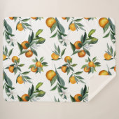 Chic Orange Wasserfarbe Citrus Print Sherpadecke (Vorderseite (Horizontal))