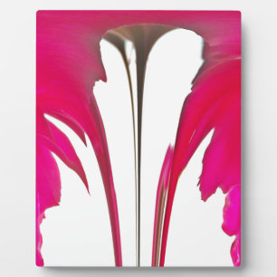 Chic phantastische Rote Rose unter dem weißen Himm Fotoplatte