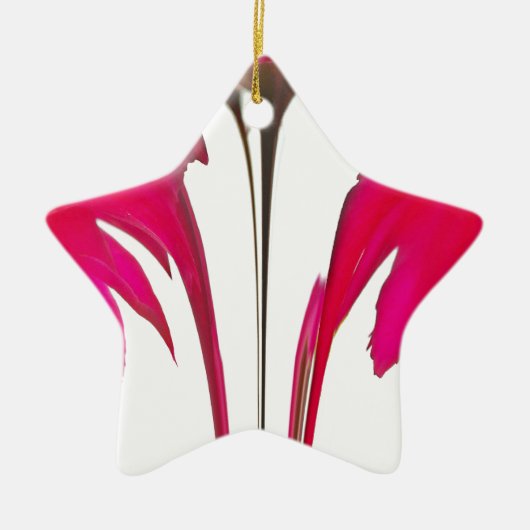 Chic phantastische Rote Rose unter dem weißen Himm Keramik Ornament (Vorne)