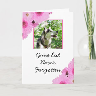 Chic Pink Blume Pet Foto Beileid Karte