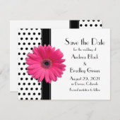 Chic Pink Daisy Blume Black and White Polka Dot Save The Date (Vorne/Hinten)