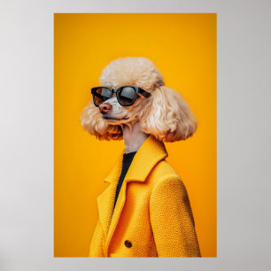 Chic Poodle in Sonnenbrille und Gelbmatte Poster