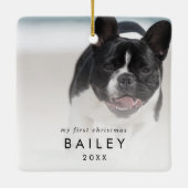 Chic Puppy's First Christmas Dog Foto Keramikornament (Rückseite)