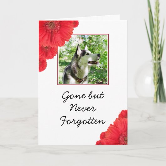 Chic Red Blume Pet Foto Beileid Karte (Vorderseite)