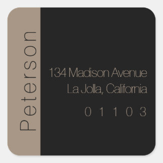 Chic Return Address Label mit seitlichem Akzent Quadratischer Aufkleber
