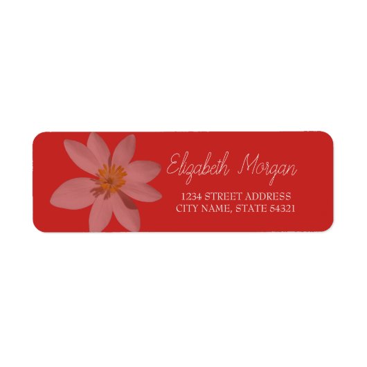 Chic Romantic White Daisy Address Label (Vorne)