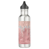 Chic Rose Blush Silber Tropfen Monogramm Edelstahlflasche (Links)