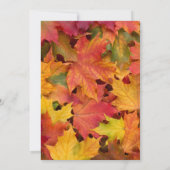 Chic Rustic Herbstlaubs Chalkboard Wedding Einladung (Rückseite)