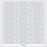 Chic Script Blue Wedding Guest Address Labels<br><div class="desc">Einfach zu personalisieren, Namen und Adressen / individuelle Hochzeitsadressen Etikettenaufkleber für Gäste. SIZE INDIVIDUELLE ETIKETTEN: 1.45" X 4.45" Diese schicken, modernen und einfachen Hochzeitsadressen-Etiketten enthalten Ihre Hochzeitsgast-Namen in schwarz eleganter Schrift-Kalligraphie auf pastellblauem Hintergrund. Fügen Sie einfach Ihre persönlichen Namen und Adresse Ihrer Hochzeitsgäste hinzu. Exklusiv für Sie entworfen von Happy...</div>