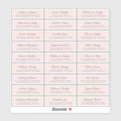 Chic Script Pink Wedding Guest Address Labels (Blatt)