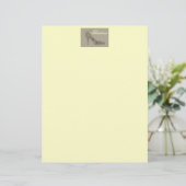Chic Shoe ~ Letterhead (Stehend Vorderseite)