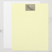 Chic Shoe ~ Letterhead (Vorne/Hinten)
