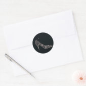 Chic Shoe ~ Stickers (Umschlag)