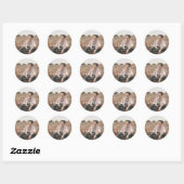 Chic Typografy Graduate Foto Abschluss Sticker (Blatt)