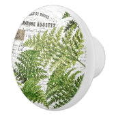 Chic Vintag Ferns & French Document Script Knob Keramikknauf (Rechts)