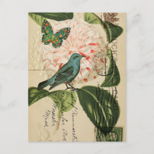 Chic Vintage Vogel Kamelie französische botanische Postkarte