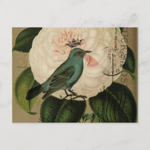 Chic Vintage Vogel Kamelie französische botanische Postkarte