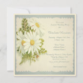 Chic-Vintages Gänseblümchen-Überraschungs-Party Einladung (Rückseite)