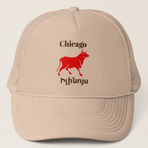 Chicago, Ի լ ի ն յ ս Trucker Hat ո Truckerkappe
