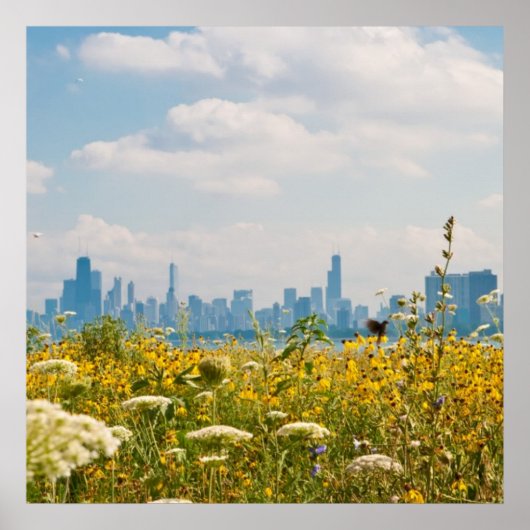 Chicago as seen from Montrose Harbor's bird Poster (Vorne)