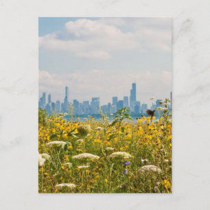 Chicago as seen from Montrose Harbor's bird Postkarte
