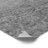 Chicago Athletic Club Poster (Ecke)