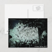 Chicago Blossoms Abstrakt Postkarte (Vorne/Hinten)