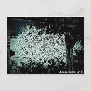 Chicago Blossoms Abstrakt Postkarte