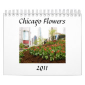 Chicago-Blumen, 2011 Kalender (Titelbild)