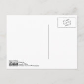 Chicago Buckingham Grayscale Postcard Postkarte (Rückseite)