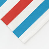 chicago city USA america flag stripes pattern blue Fleecedecke (Ecke)