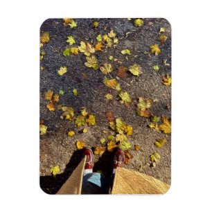 Chicago Fall Grußkarte Magnet