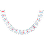 Chicago Flag Party, Banners/Hochzeiten Wimpelkette (Alle)