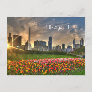 Chicago, IL Postcard Postkarte