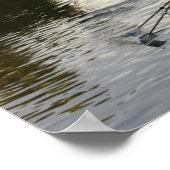 Chicago, Illinois, Rowers in Lincoln Park Lagoon Poster (Ecke)