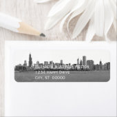 Chicago Illinois Skyline (Insitu)