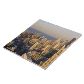 Chicago, Illinois, Skyline vom Sears Tower Fliese (Seite)