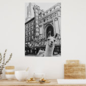 Chicago Llama Poster (Küche)