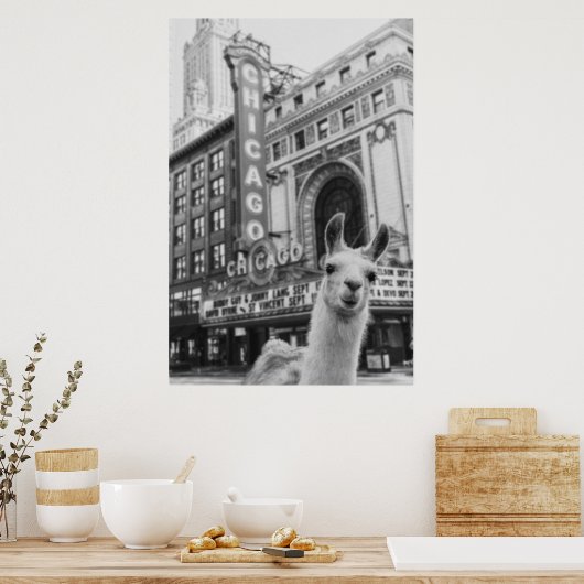 Chicago Llama Poster (Küche)