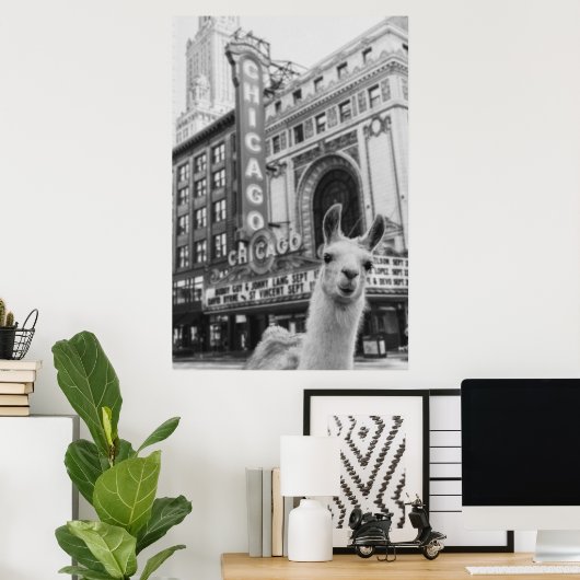 Chicago Llama Poster (Heimbüro)