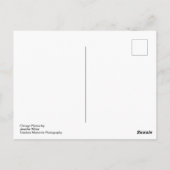 Chicago Postkarte (Rückseite)