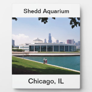 Chicago Shedd Aquarium Collection Fotoplatte